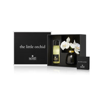 The Little Orchid - Amber & Oud