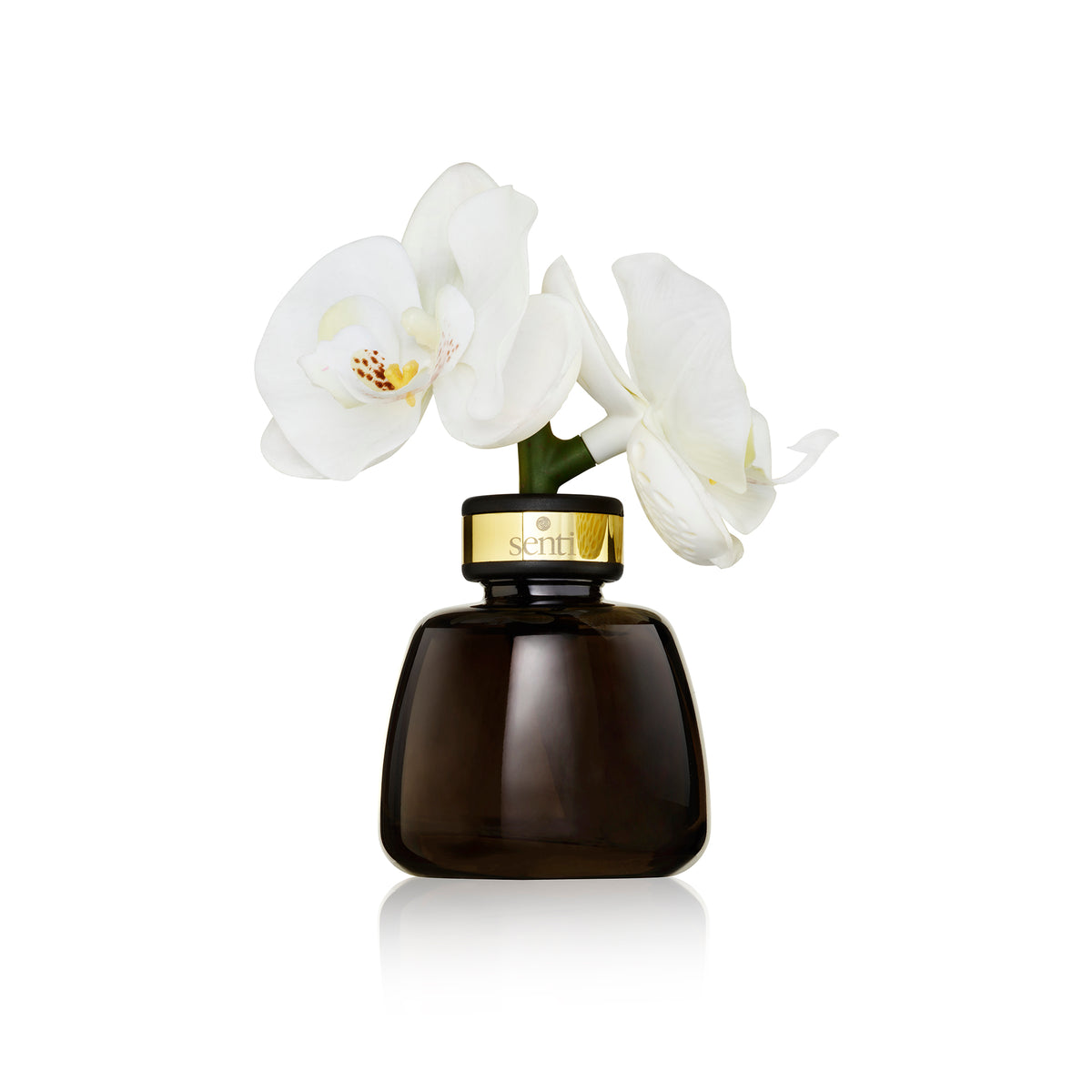 The Little Orchid - Bergamot & Ginger