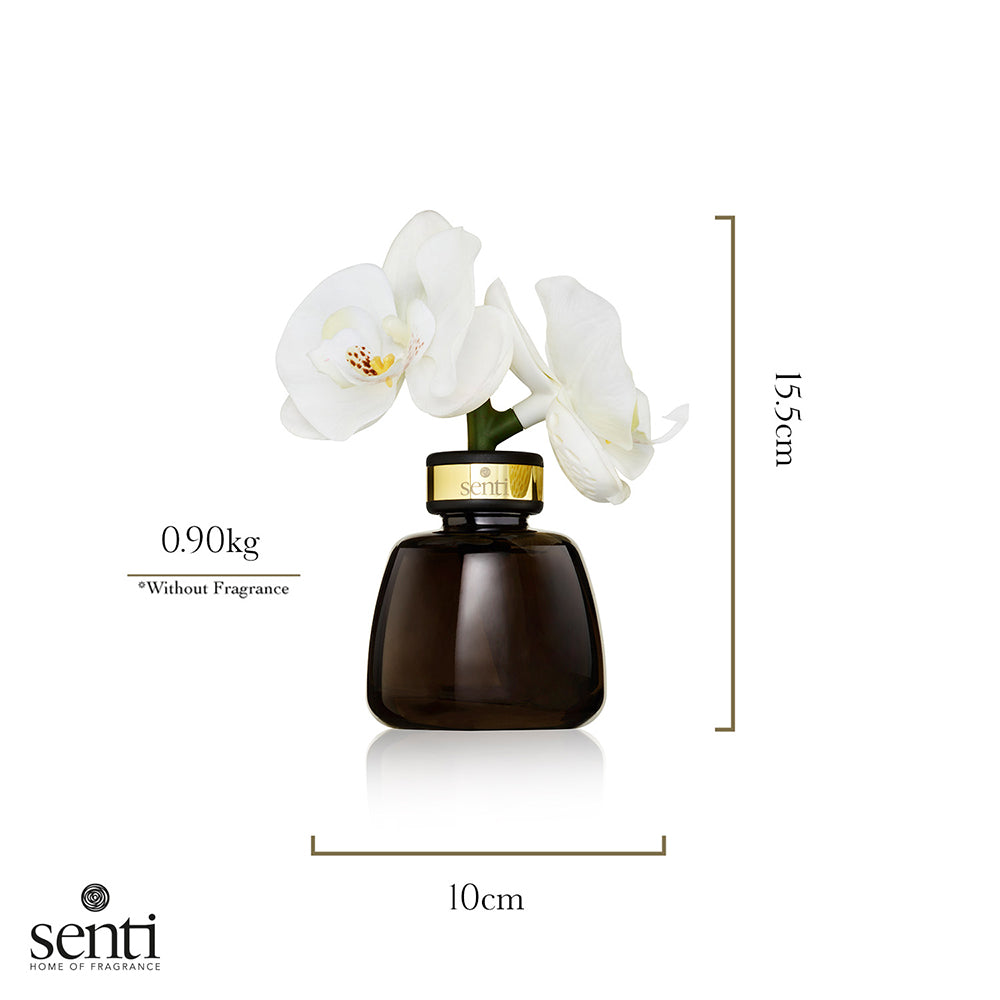 The Little Orchid - Amber & Oud