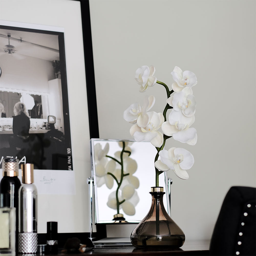 Image of the Orchid