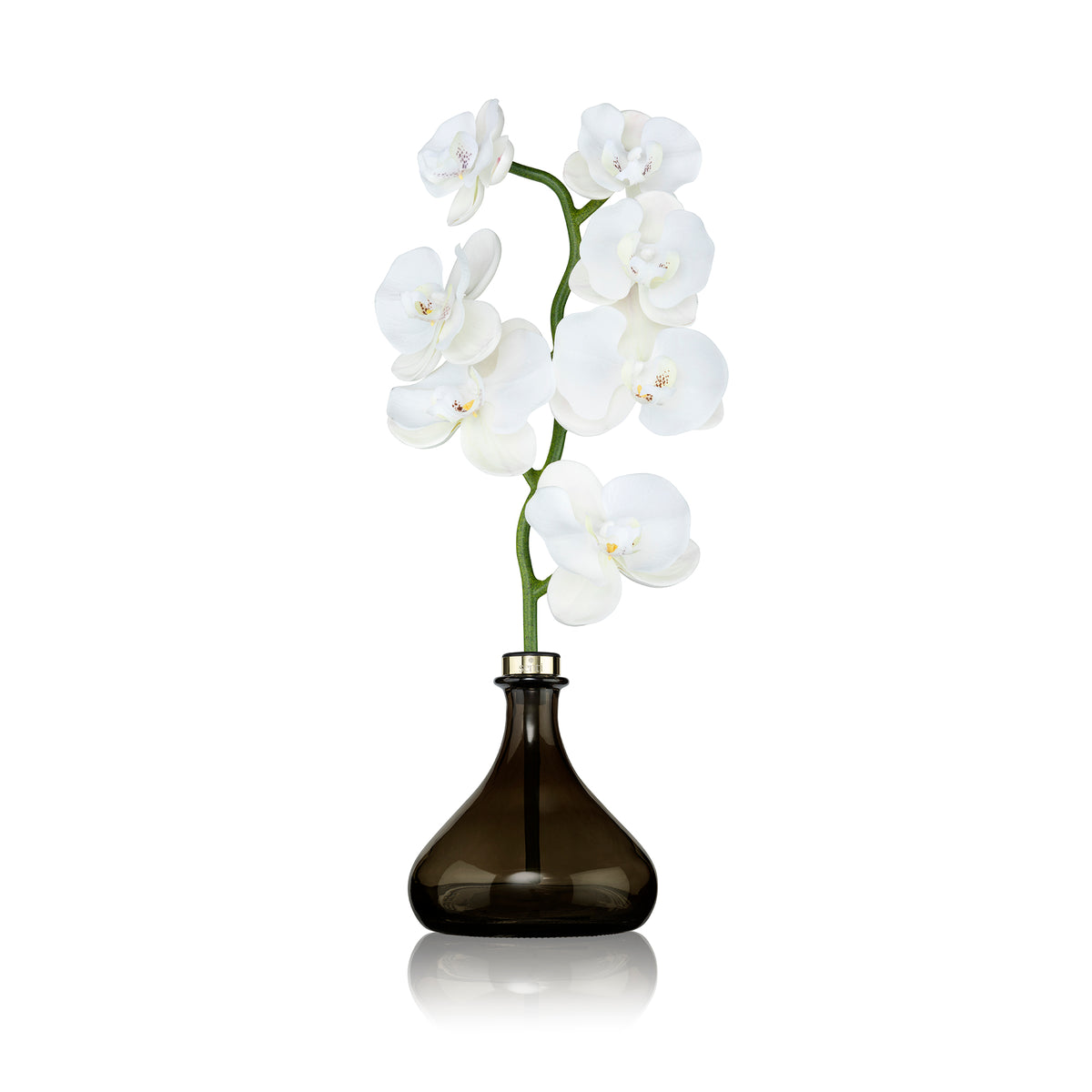 The Orchid - Bergamot & Ginger