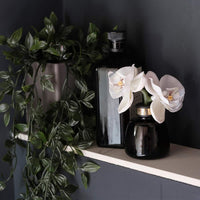 The Little Orchid - Amber & Oud