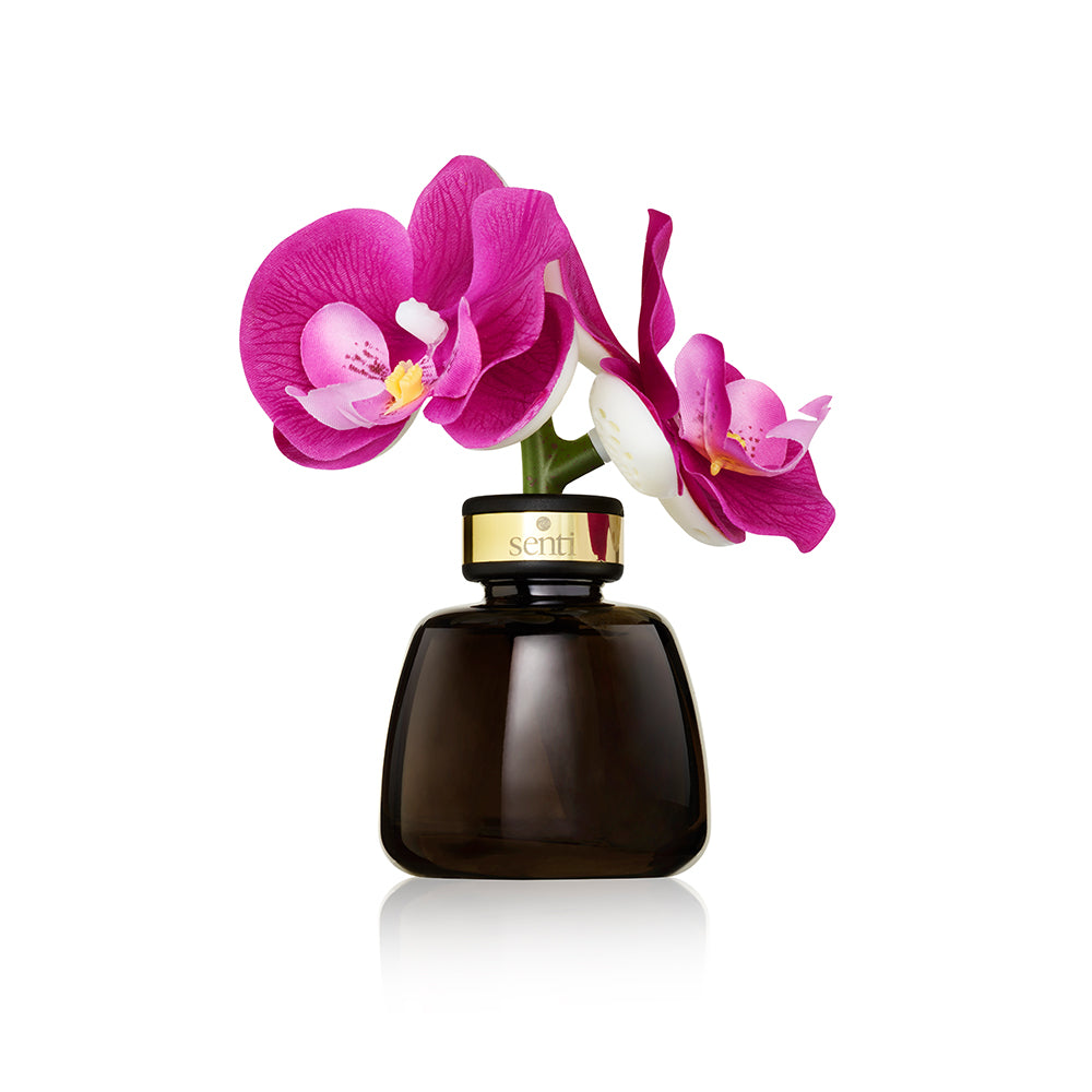 Limited Availability - The Little Orchid in Pink - White Flowers