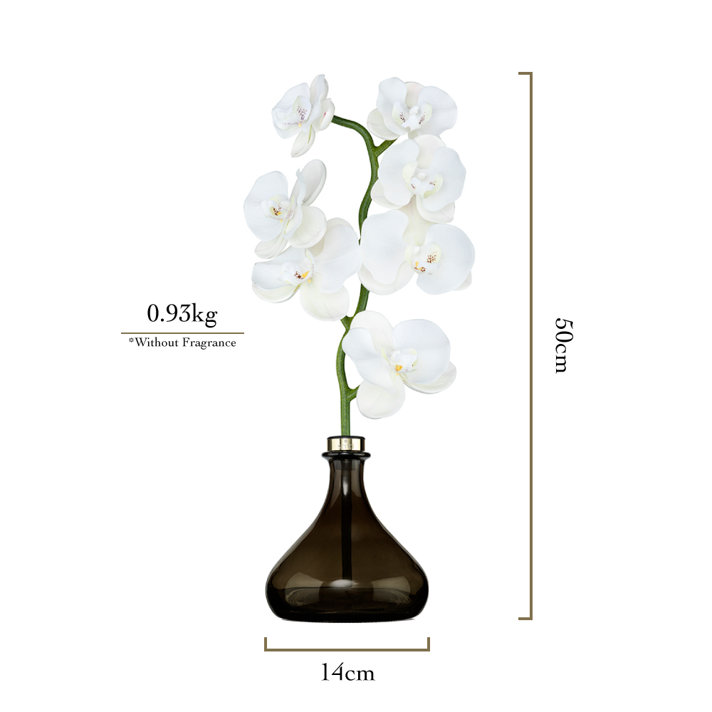 Orchid diffuser outlet